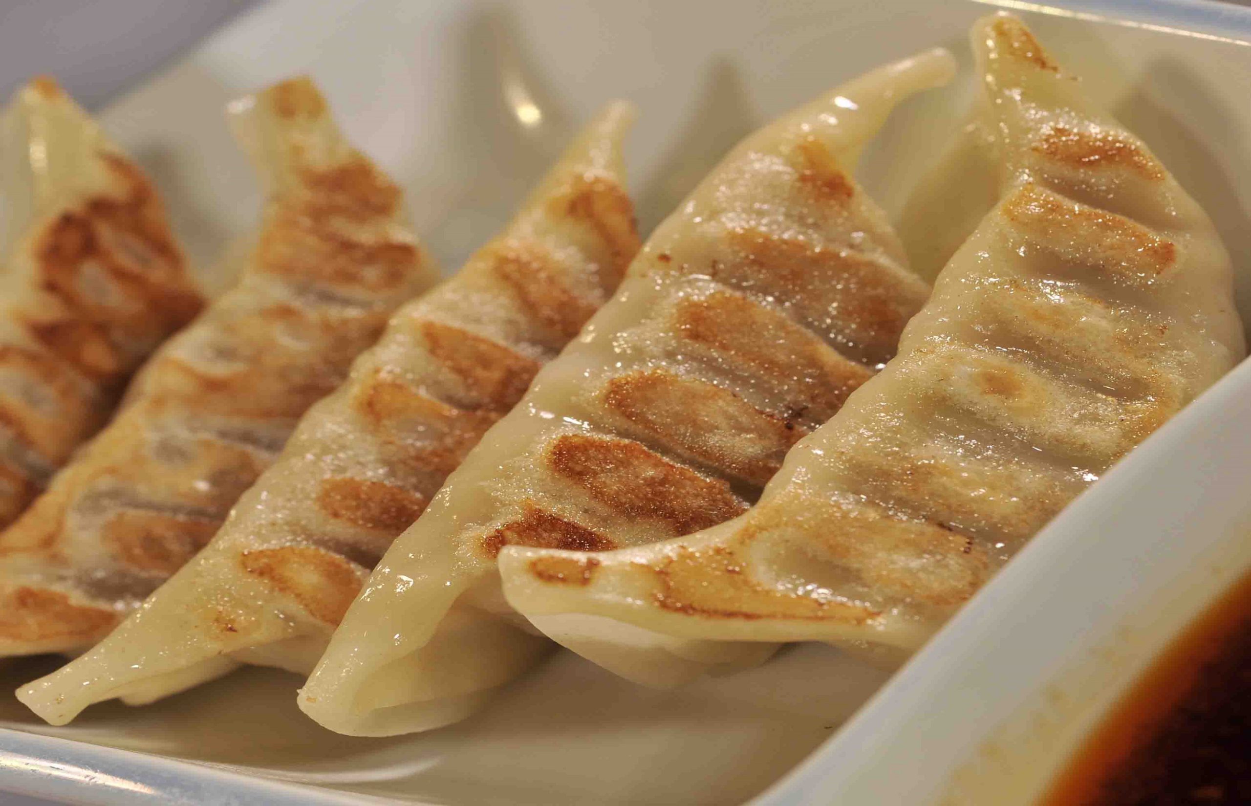 Gyoza