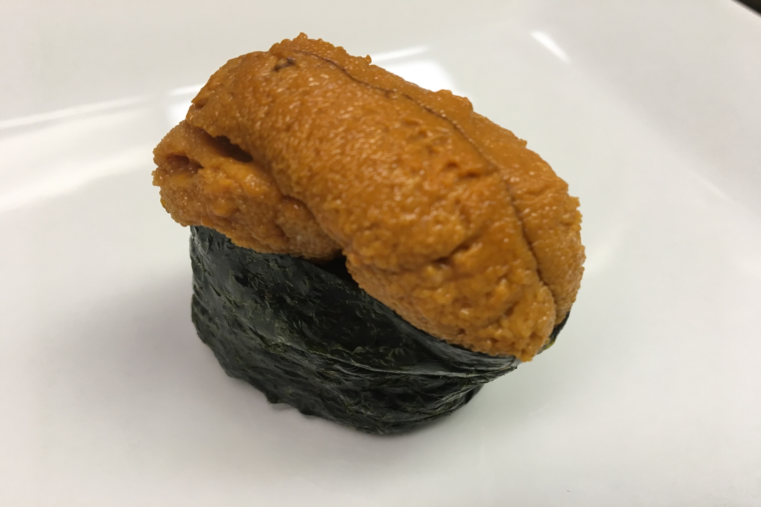 Sea Urchin